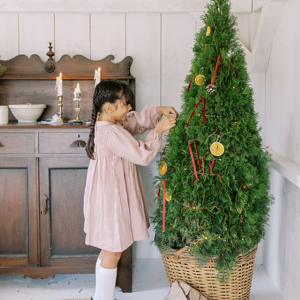 
                  
                    DRAUGHT DRESS - DUSTY ROSE STRIPE LINEN
                  
                